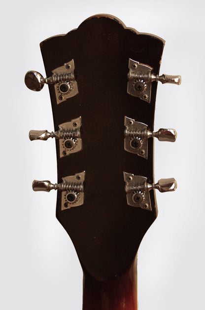 Guild T-100D Thinline Hollow Body Electric Guitar (1966)