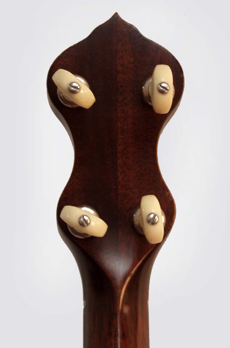 Mike Ramsey Chanterelle 5 String Banjo (1990's)