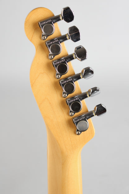 Fender Telecaster Thinline 1969 Re-Issue Solid Body Electric Guitar (1985)