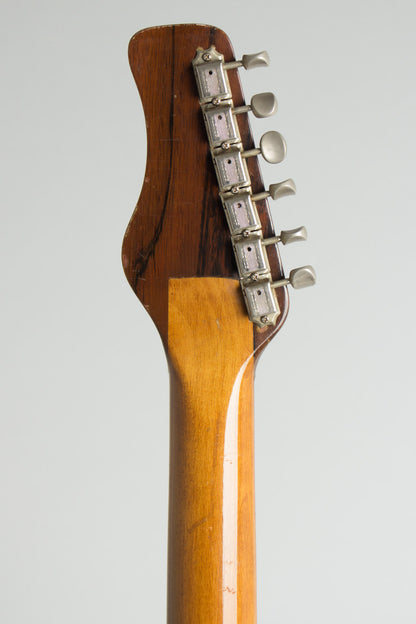 Danelectro Coral Sitar Semi-Hollow Body Electric Guitar (1968)