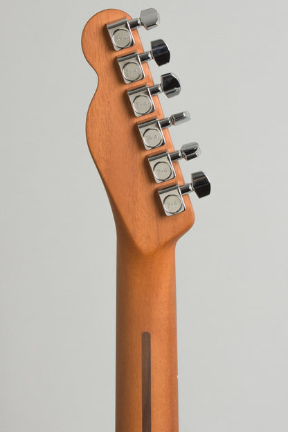 Fender Acoustasonic Owned by Jeff Tweedy of Wilco Thinline Hollow Body Electric Guitar (2018)