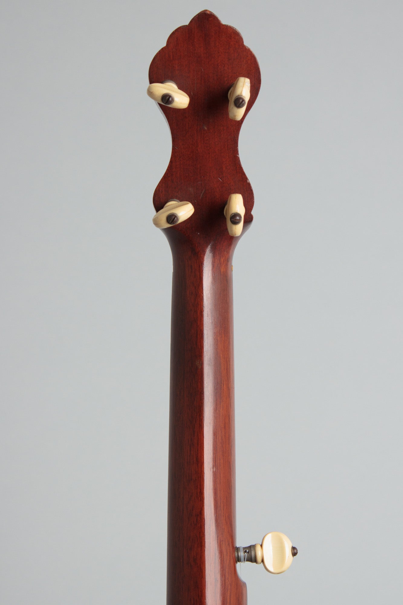 W. A. Cole Eclipse #2500 5 String Banjo (1910)