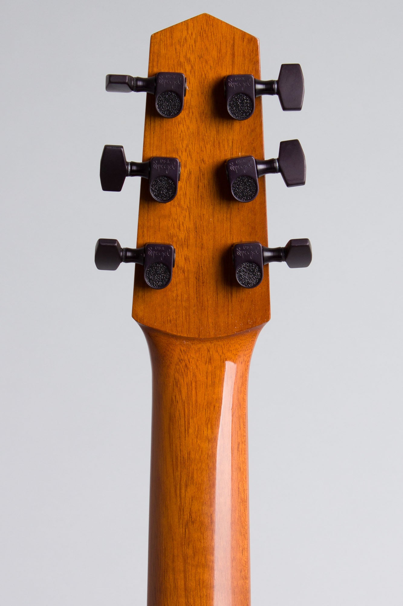 Michael Dunn Fleche D'Or Gypsy Jazz Guitar (2005)