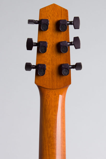 Michael Dunn Fleche D'Or Gypsy Jazz Guitar (2005)