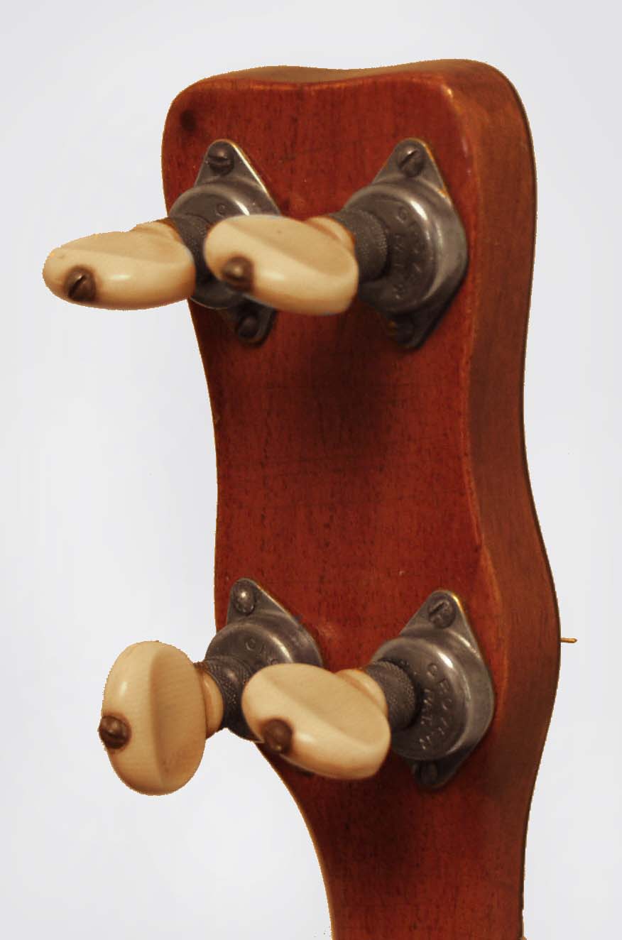 Regal Professional Flat Top Tenor Guitar (1928)
