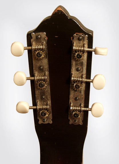 Oahu Diana Deluxe Lap Steel Electric Guitar (1940)