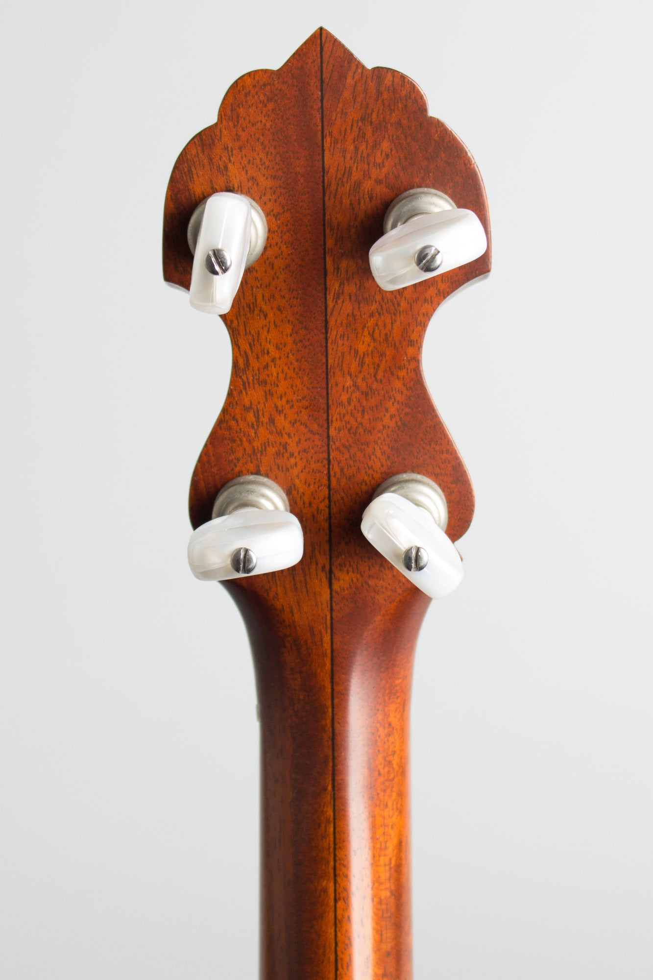 Bart Reiter Standard Fretless 5 String Banjo (2000)