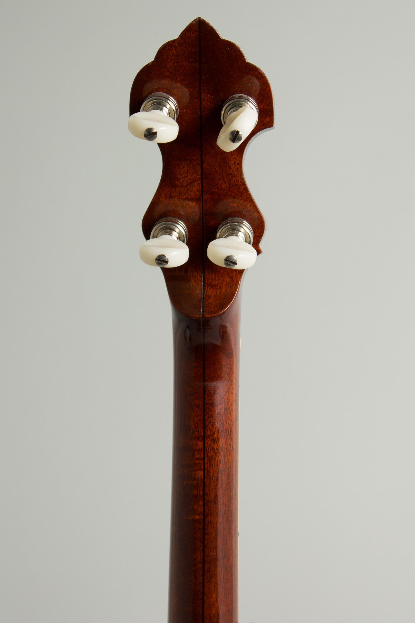 Goose Acres Model E 5 String Resonator Banjo (1978)