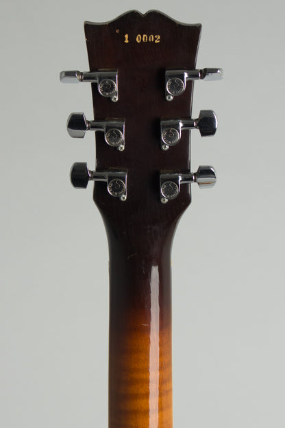 Steve Carr Mini-335 Owned and used by Elliott Sharp Semi-Hollow Body Electric Guitar (1981)