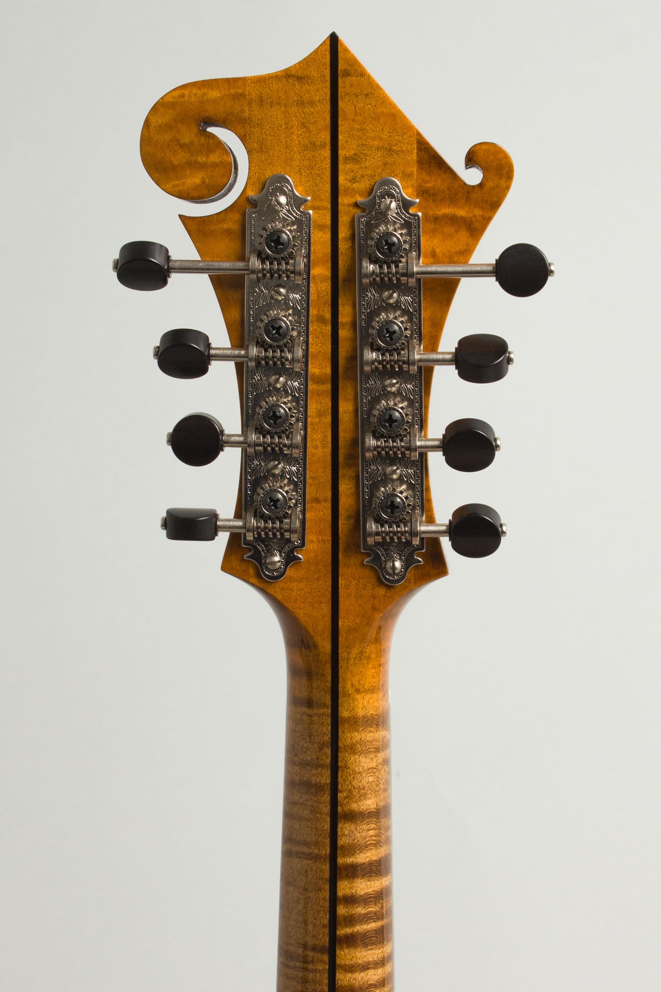 Northfield NFA-F5IE Carved Top Mandolin (2025)