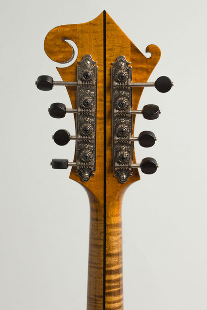 Northfield NFA-F5IE Carved Top Mandolin (2025)