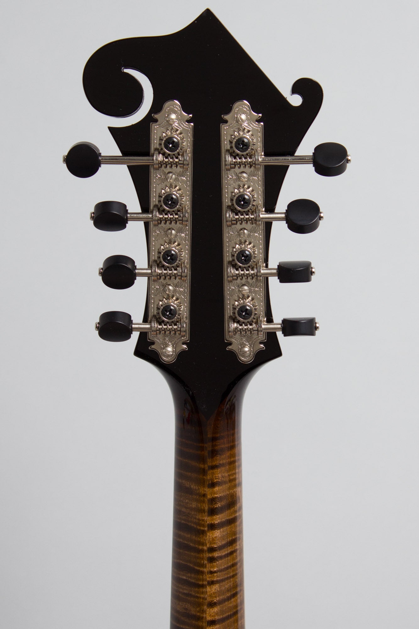 Northfield NFB-F5E Big Mon Carved Top Mandolin (2025)