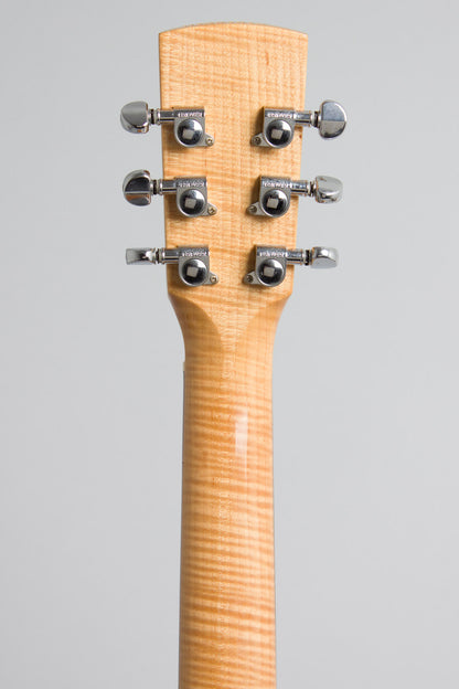 Dobro DW90CTN Resophonic Guitar (2001)