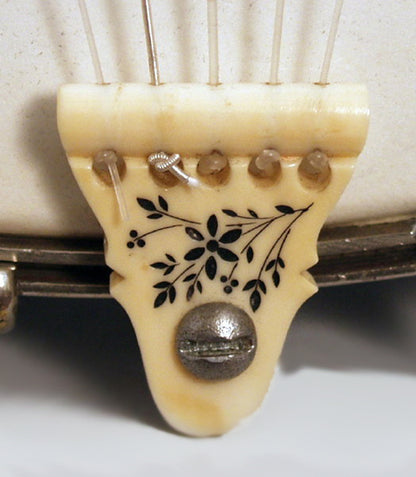 W. A. Cole Eclipse 5 String Banjo (1891-1892)