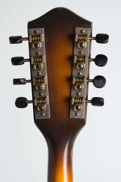 Stradolin Junior Arch Top Mandolin (1950)