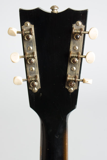 Danelectro Model 4021 Hand Vibrato Semi-Hollow Body Electric Guitar (1962)