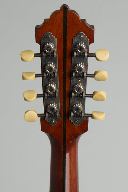 Lyon & Healy Style B Carved Top Mandolin (1919)