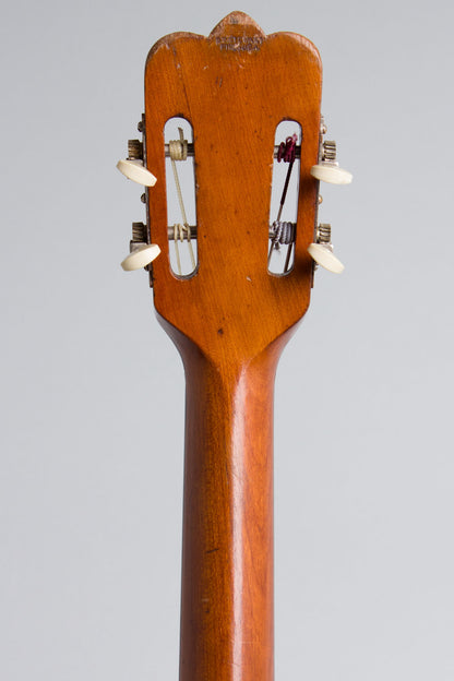S. S. Stewart Cello Banjo (1900)