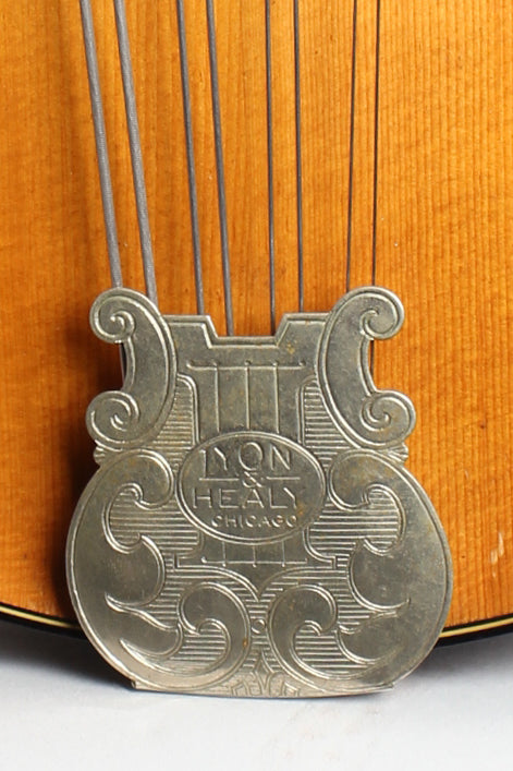 Lyon & Healy Washburn Style 5310 Carved Top Mandocello (1925)