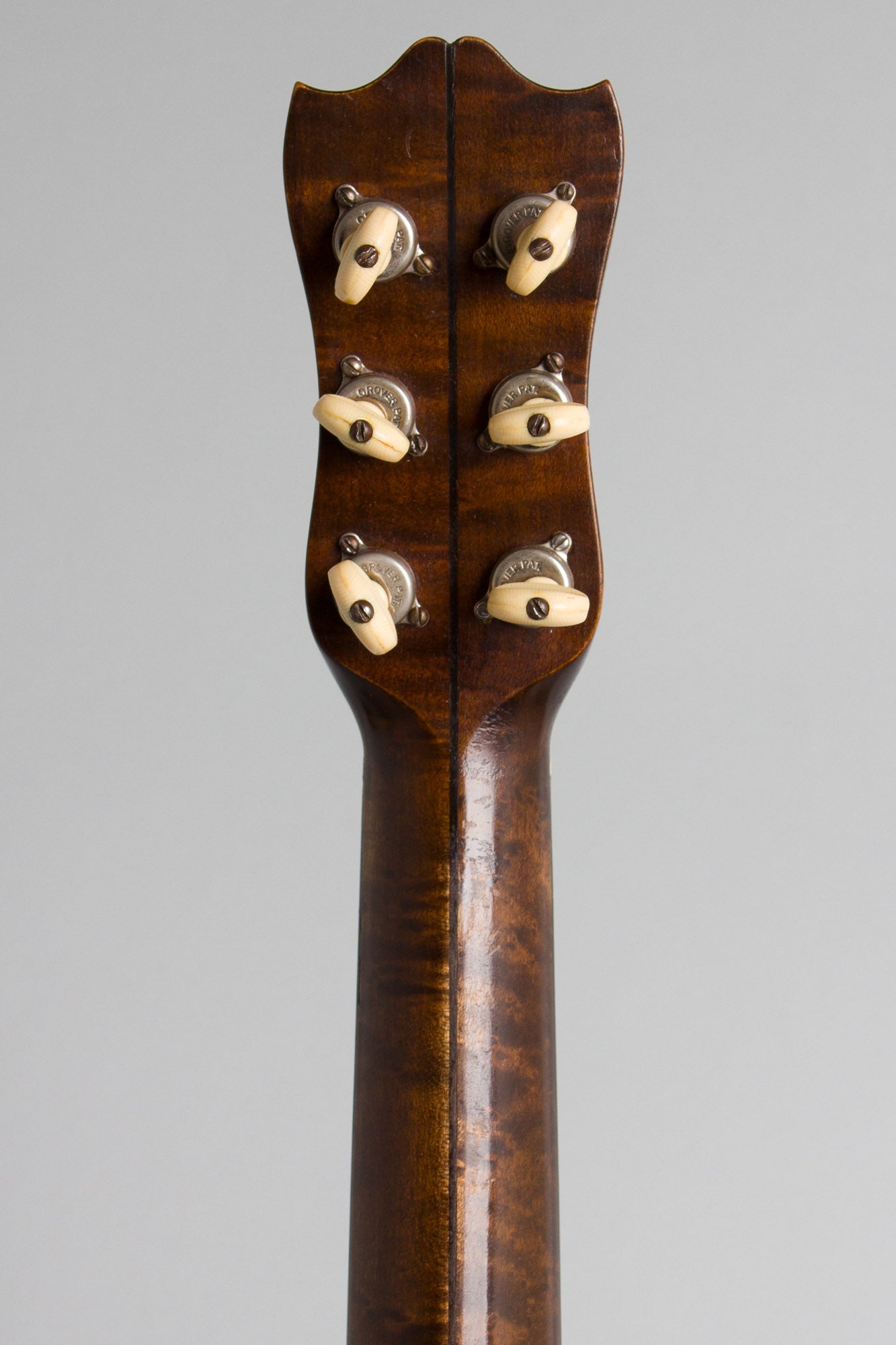 Lyon & Healy Washburn Model 5115 Guitar Banjo (1928)