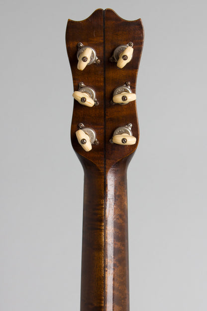 Lyon & Healy Washburn Model 5115 Guitar Banjo (1928)