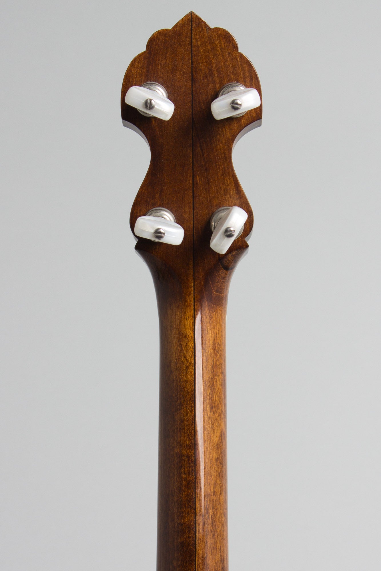 Bart Reiter Special 5 String Banjo (1998)