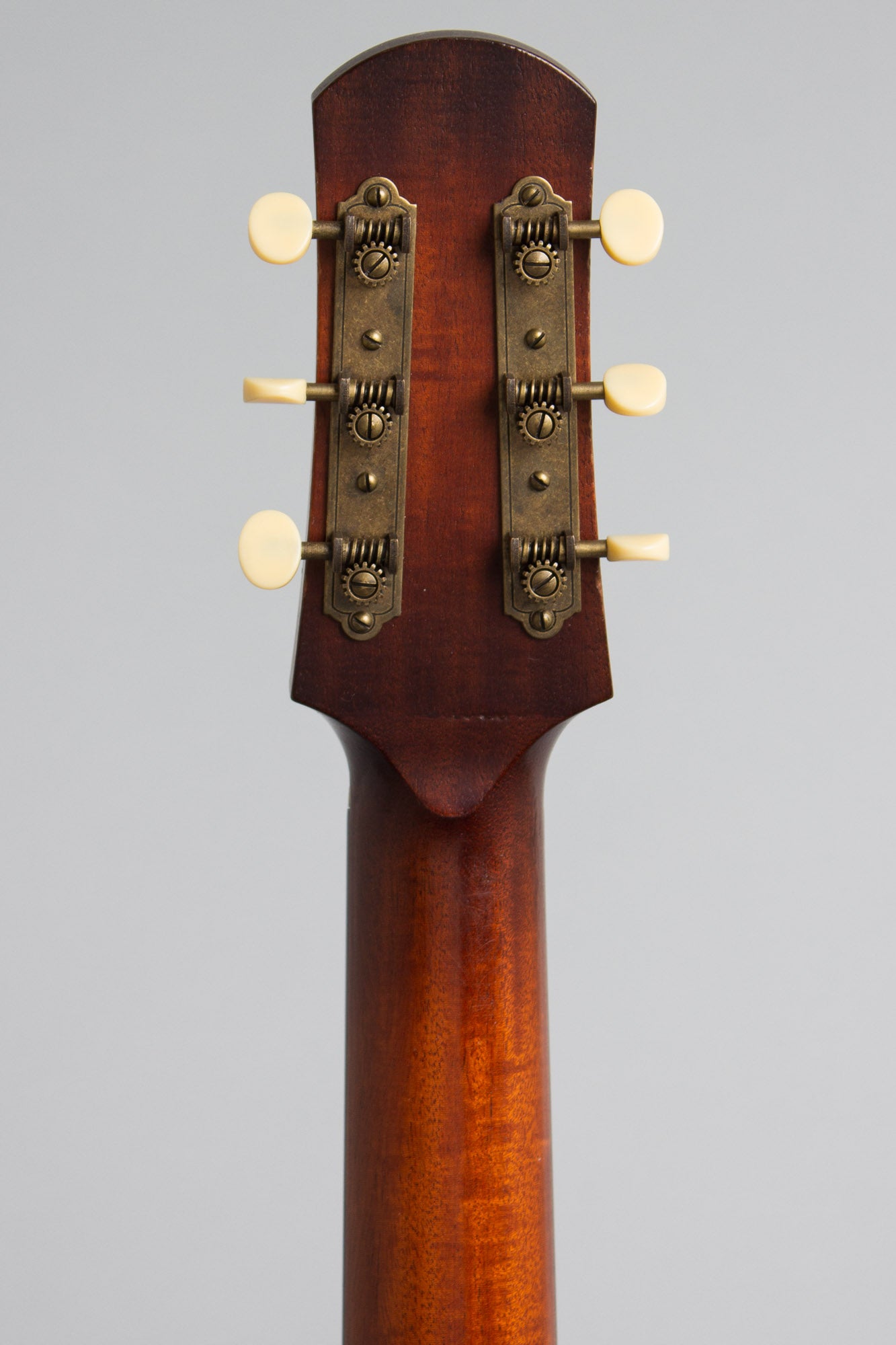Iris DF Flat Top Acoustic Guitar
