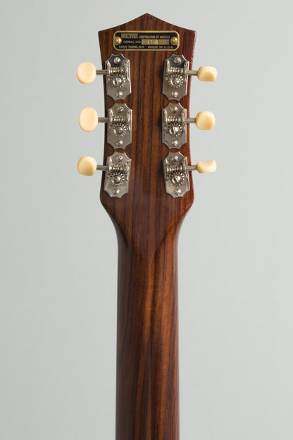 Premier E-730 Solid Body Electric Guitar (2025)