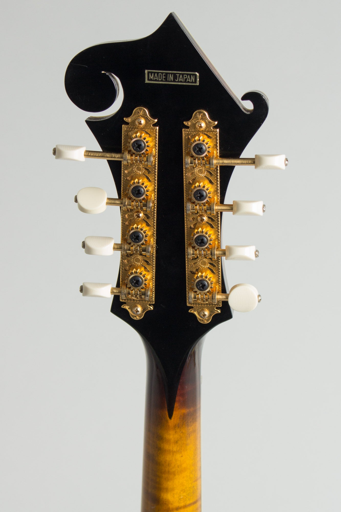 The Kentucky KM-1500 Arch Top Mandolin (1984)
