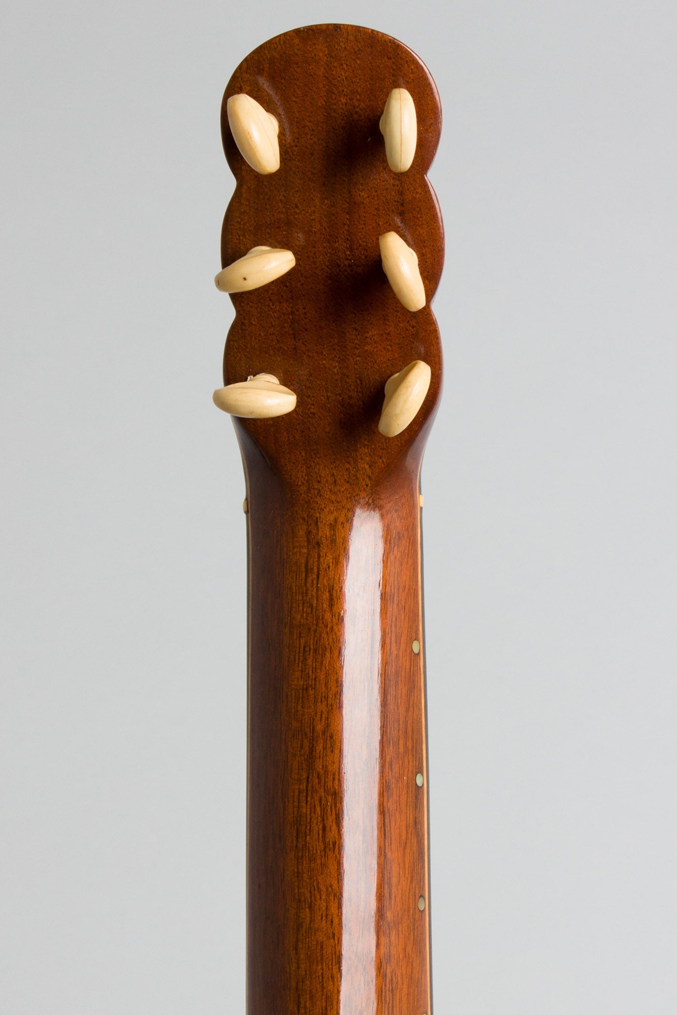 unlabelled 7 String Fretless Banjo (1890)