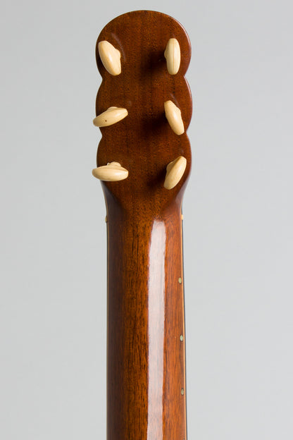 unlabelled 7 String Fretless Banjo (1890)