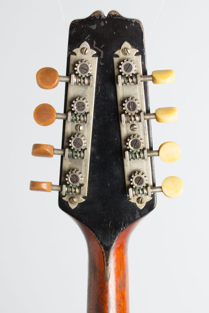 Gibson Model A-4 Snakehead Carved Top Mandolin (1924)