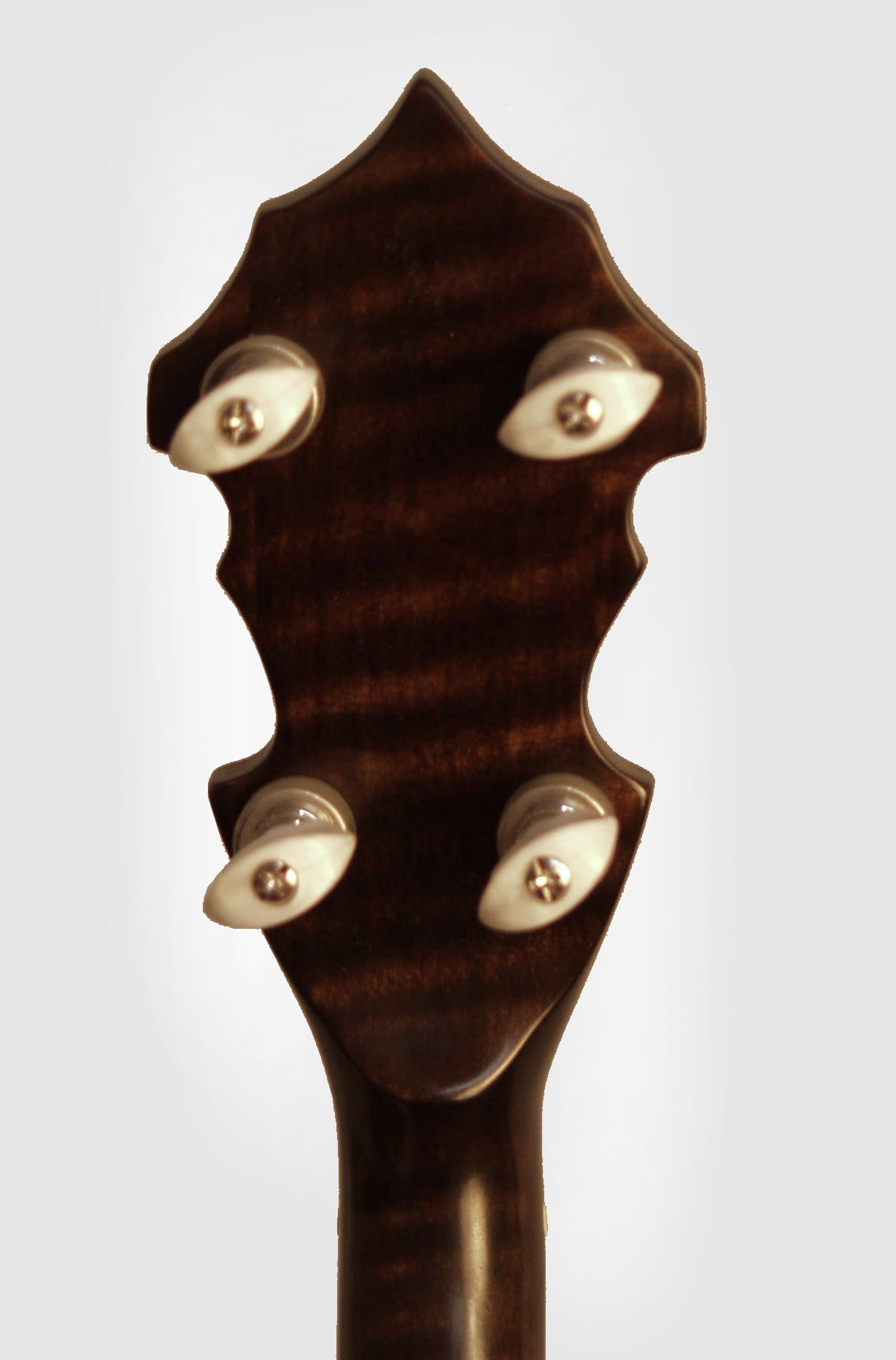 Tim Lynch RB-4 Style 5 String Resonator Banjo (2006)