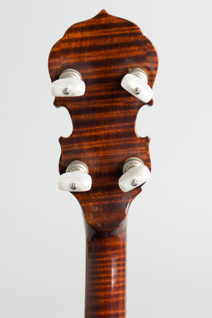 Wildwood Custom Bluegrass 5 String Banjo (1971)