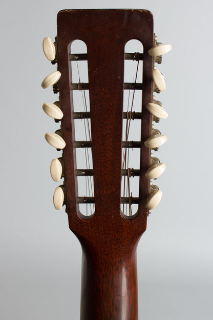 C. F. Martin D-12-20 12 String Flat Top Acoustic Guitar (1968)