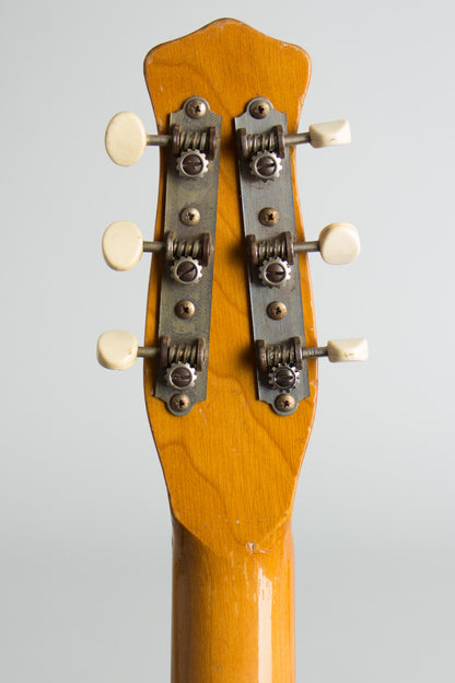 Danelectro Standard Model 5025 Semi-Hollow Body Electric Guitar (1960)