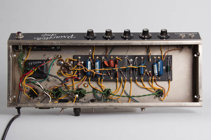 Fender Princeton A-964 Tube Amplifier (1964)
