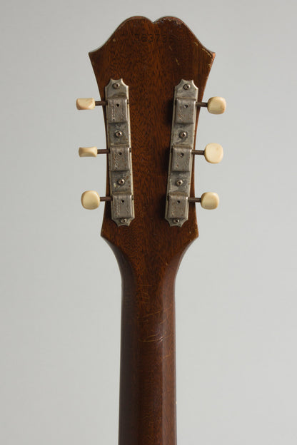 Epiphone E444T Granada Thinline Hollow Body Electric Guitar (1965)