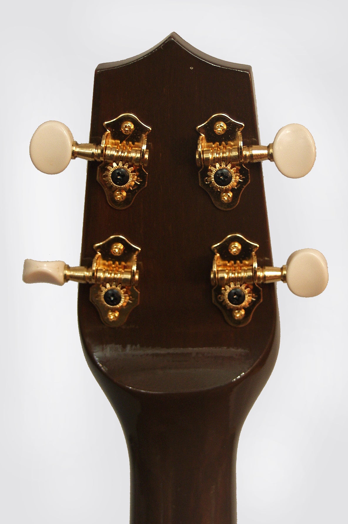 Pahu Kani Longneck Concert Ukulele (2009)