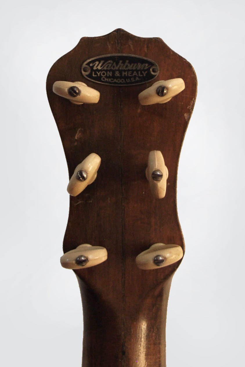 Lyon & Healy Washburn Model 5115 Guitar Banjo (1925)
