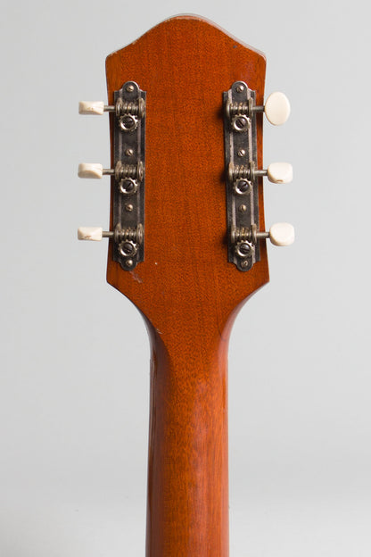 Harmony Patrician H-1414 Arch Top Acoustic Guitar (1954)
