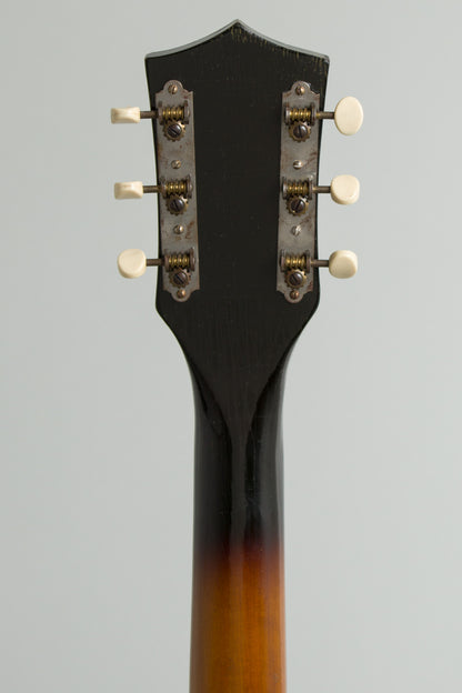 Airline Model 7227 Arch Top Hollow Body Electric Guitar (1961)