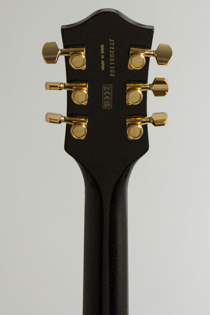 Gretsch G-6120T SW Steve Wariner Nashville Gentleman Hollow Body Electric Guitar (2022)