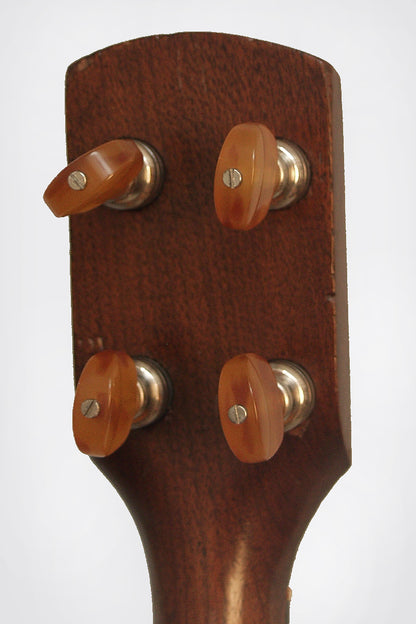 Buckbee 5 String Banjo (1880's)