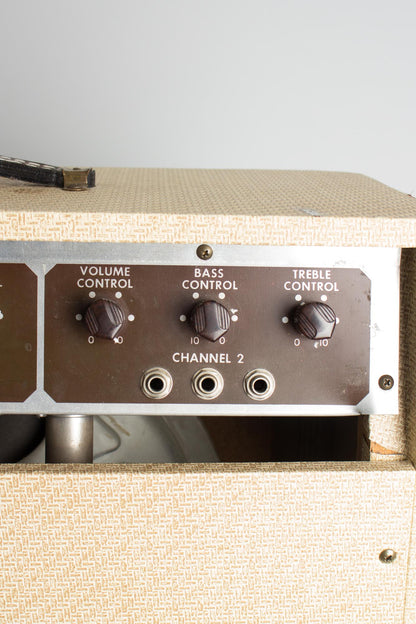 Danelectro Challenger Series D Model 89 Tube Amplifier (1956)