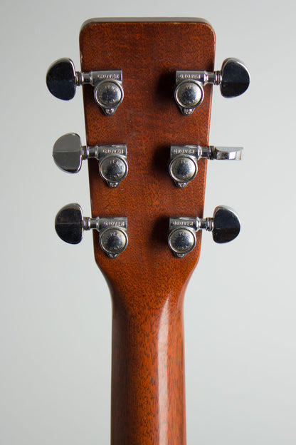 C. F. Martin D-18 Flat Top Acoustic Guitar (1971)
