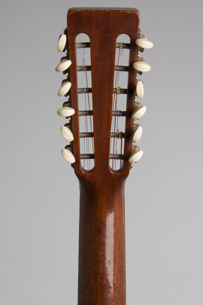 C. F. Martin D-12-20 12 String Flat Top Acoustic Guitar (1965)