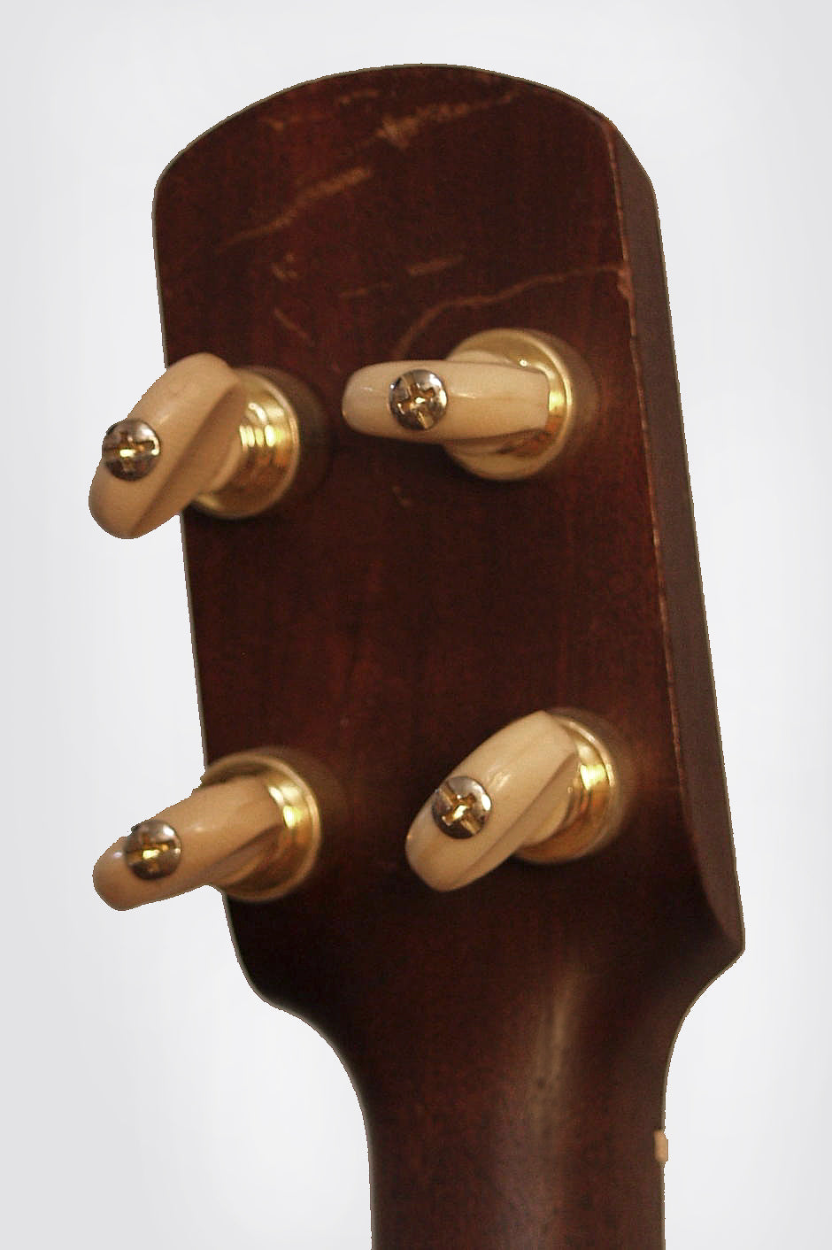 unlabelled 5 String Banjo (1880)