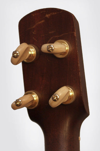 unlabelled 5 String Banjo (1880)