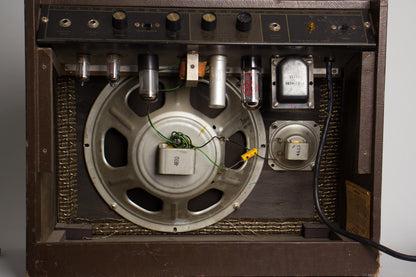 Magnatone Custom 410 Tube Amplifier (1961)